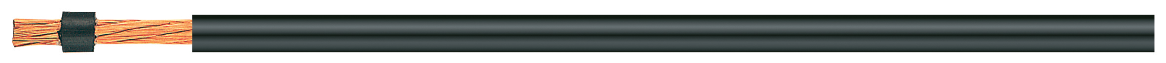 FEST1X25MM