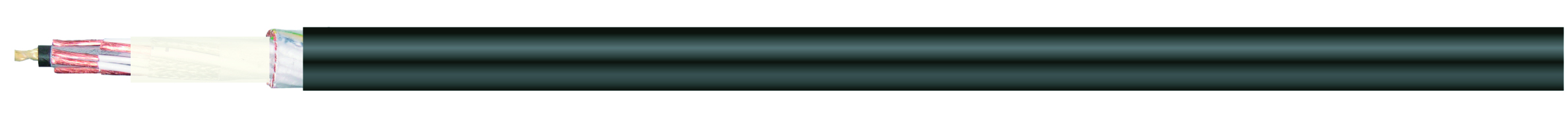 MCOM1P050